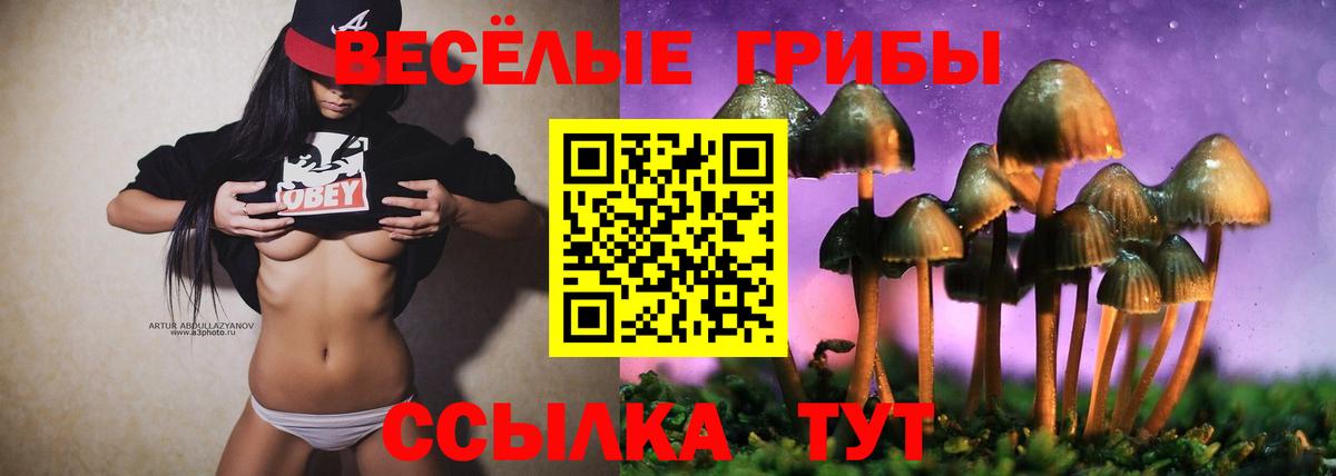 Новодвинск  Галлюциногенные грибы мицелий  Вход с VPN 
