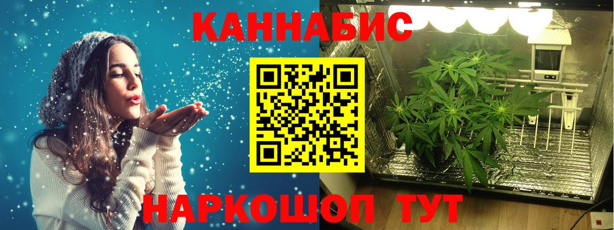 Бошки марихуана Bruce Banner Новодвинск